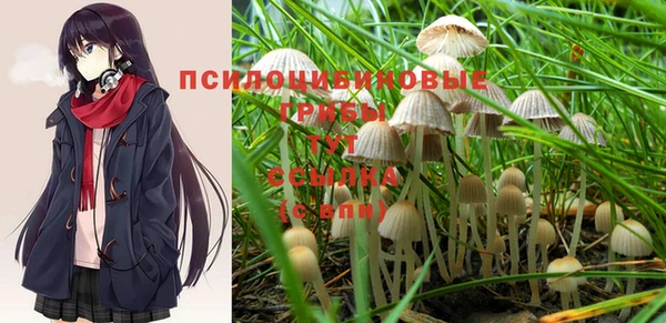 ALPHA-PVP Бугульма