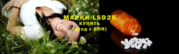 spice Бородино