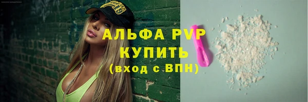 spice Бородино