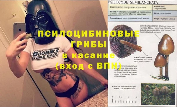 ALPHA-PVP Бугульма