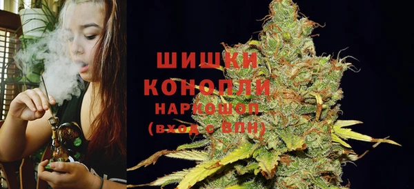 spice Бородино