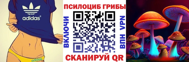 Псилоцибиновые грибы ЛСД  blacksprut сайт  Нефтекамск  продажа наркотиков 